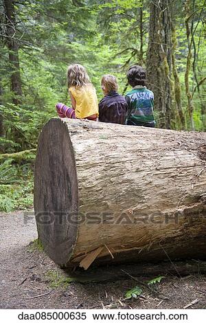 Children sitting together on large tree trunk, rear view View Large Photo Image Stock Photography - Children sitting together on large tree trunk, rear view. Fotosearch