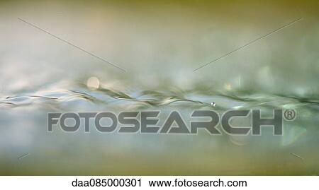 Close-up of water surface View Large Photo Image Stock Image - Close-up of water surface. Fotosearch