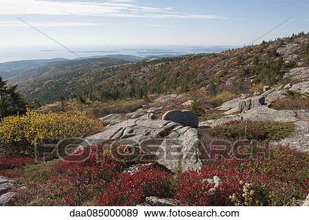 Coastal hillside, Acadia National Park, Maine, USA View Large Photo Image Stock Photo - Coastal hillside, Acadia National Park, Maine, USA. Fotosearch