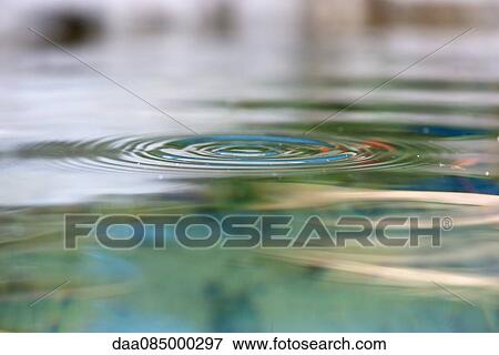 Concentric ripples on surface of water View Large Photo Image Stock Photo - Concentric ripples on surface of water. Fotosearch