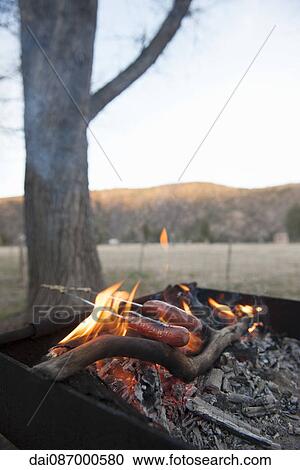 Cooking hotdogs over a campfire View Large Photo Image Stock Image - Cooking hotdogs over a campfire. Fotosearch