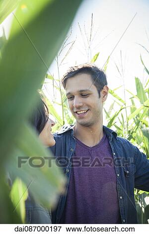 Couple talking together in cornfield View Large Photo Image Stock Photo - Couple talking together in cornfield. Fotosearch