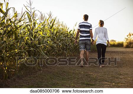 Couple walking along dirt road next to cornfield View Large Photo Image Stock Photograph - Couple walking along dirt road next to cornfield. Fotosearch
