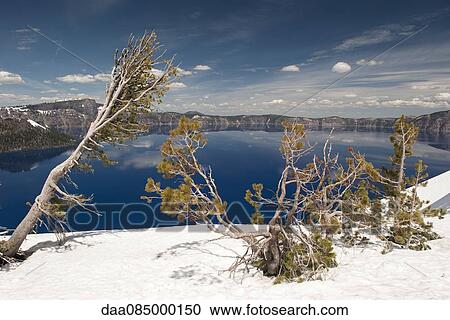 Crater Lake National Park, Oregon, USA View Large Photo Image Stock Image - Crater Lake National Park, Oregon, USA. Fotosearch