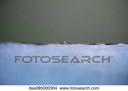 Droplet falling on water View Large Photo Image Picture - Droplet falling on water. Fotosearch