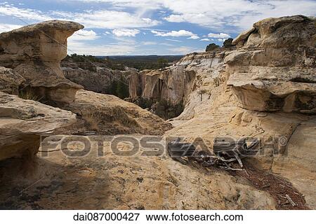 El Morro National Monument, New Mexico, USA View Large Photo Image Stock Photo - El Morro National Monument, New Mexico, USA. Fotosearch
