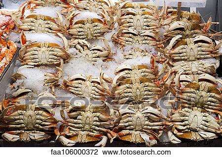 Fresh crabs on ice in market View Large Photo Image Stock Image - Fresh crabs on ice in market. Fotosearch