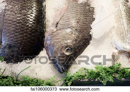 Fresh fish on ice View Large Photo Image Stock Image - Fresh fish on ice. Fotosearch