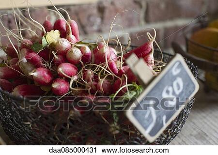 Fresh radishes in basket View Large Photo Image Stock Image - Fresh radishes in basket. Fotosearch