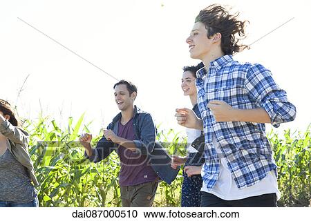 Friends on fun run through cornfield View Large Photo Image Stock Image - Friends on fun run through cornfield. Fotosearch