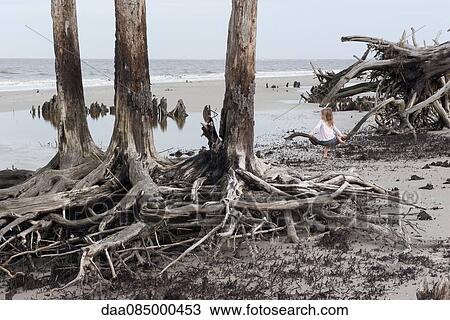 Girl sitting alone on driftwood at beach, Jekyll Island, Georgia, USA View Large Photo Image Stock Image - Girl sitting alone on driftwood at beach, Jekyll Island, Georgia, USA. Fotosearch