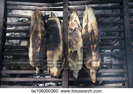 Grilling fresh corn on the cob View Large Photo Image Stock Image - Grilling fresh corn on the cob. Fotosearch