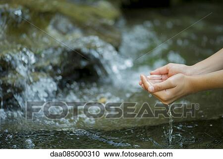 Hands scooping water from stream View Large Photo Image Stock Image - Hands scooping water from stream. Fotosearch