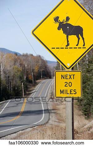 Moose crossing sign along highway View Large Photo Image Stock Image - Moose crossing sign along highway. Fotosearch