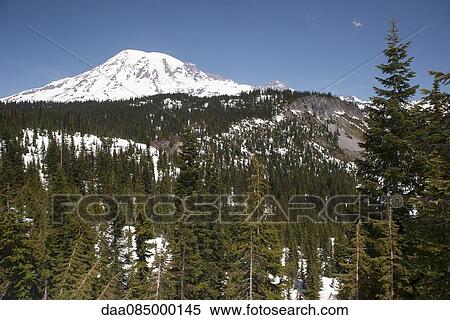 Stock Photography - Mount Rainier, Mount Rainier National Park, Washington, USA. Fotosearch