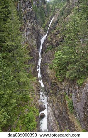 Stock Image - Mountain stream cascading through gorge, North Cascades National Park, Washington, USA. Fotosearch