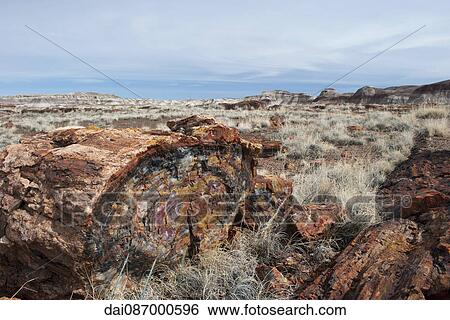 Petrified Forest National Park, Arizona, USA View Large Photo Image Stock Photograph - Petrified Forest National Park, Arizona, USA. Fotosearch