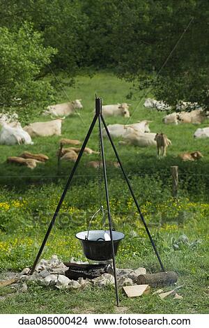 Pot hanging over campfire near pasture View Large Photo Image Picture - Pot hanging over campfire near pasture. Fotosearch