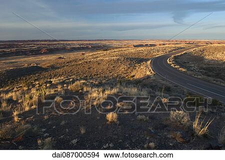 Road through desert landscape in Arizona, USA View Large Photo Image Picture - Road through desert landscape in Arizona, USA. Fotosearch