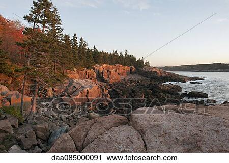 Rocky shore, Acadia National Park, Maine, USA View Large Photo Image Stock Image - Rocky shore, Acadia National Park, Maine, USA. Fotosearch