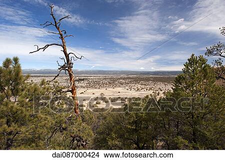Scenic arid landscape View Large Photo Image Picture - Scenic arid landscape. Fotosearch