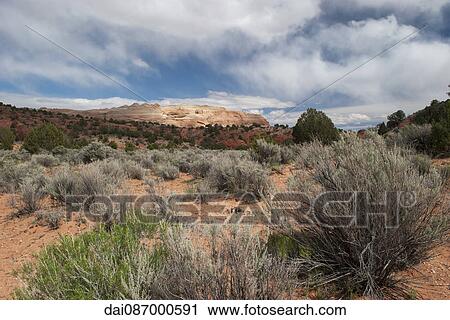 Scenic desert landscape, Utah, USA View Large Photo Image Stock Image - Scenic desert landscape, Utah, USA. Fotosearch