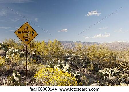 Share the road sign in scenic desert landscape View Large Photo Image Picture - Share the road sign in scenic desert landscape. Fotosearch