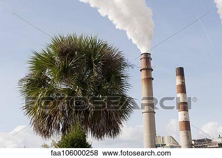 Stock Photo - Smokestacks emitting fumes near palm tree. Fotosearch