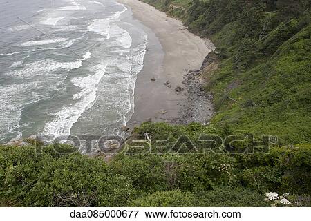 Steep cliffs and beach in Redwood National Park, California, USA View Large Photo Image Stock Photo - Steep cliffs and beach in Redwood National Park, California, USA. Fotosearch