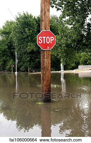 Stop sign on flooded street View Large Photo Image Picture - Stop sign on flooded street. Fotosearch