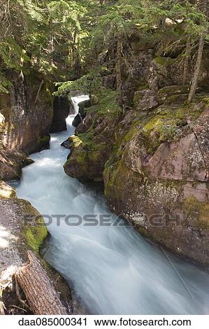 Stream flowing through woods in Glacier National Park, Montana, USA View Large Photo Image Stock Image - Stream flowing through woods in Glacier National Park, Montana, USA. Fotosearch