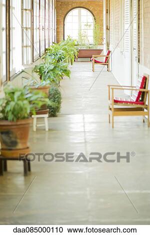 Sunroom with chairs and potted plants View Large Photo Image Stock Image - Sunroom with chairs and potted plants. Fotosearch
