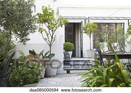 Terrace garden View Large Photo Image Picture - Terrace garden. Fotosearch