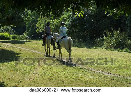 Tourists riding horses through countryside View Large Photo Image Stock Photo - Tourists riding horses through countryside. Fotosearch