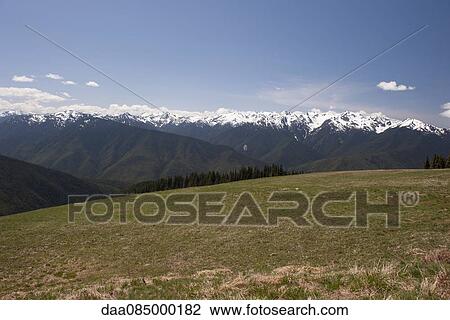 Tranquil meadow backed by Olympic Mountains, Olympic National Park, Washington, USA View Large Photo Image Stock Image - Tranquil meadow backed by Olympic Mountains, Olympic National Park, Washington, USA. Fotosearch