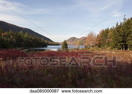 Tranquil pond and mountains, Acadia National Park, Maine, USA View Large Photo Image Stock Photo - Tranquil pond and mountains, Acadia National Park, Maine, USA. Fotosearch