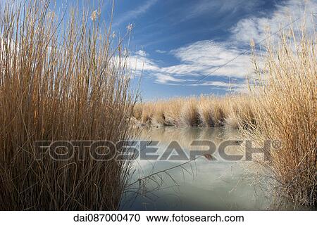 Stock Image - Tranquil waterscape in Big Bend National Park, Texas, USA. Fotosearch