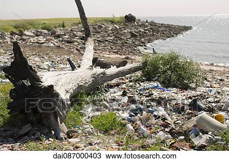 Trash washed up on shore View Large Photo Image Stock Image - Trash washed up on shore. Fotosearch