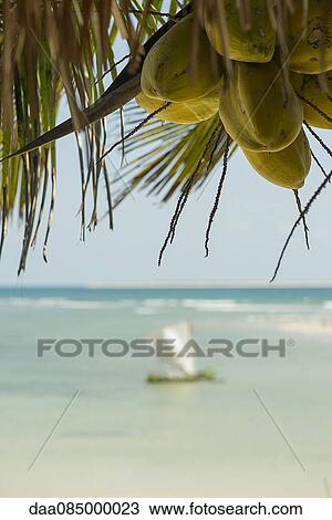 Tropical paradise View Large Photo Image Stock Image - Tropical paradise. Fotosearch