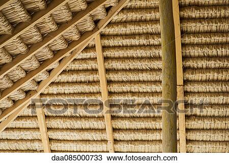 Underside of thatched roof View Large Photo Image Stock Image - Underside of thatched roof. Fotosearch
