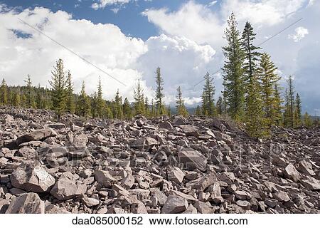 Volcanic rocks and evergreen trees in Lassen Volcanic National Park, California, USA View Large Photo Image Stock Image - Volcanic rocks and evergreen trees in Lassen Volcanic National Park, California, USA. Fotosearch