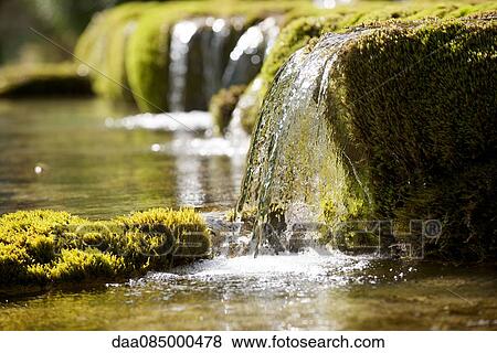 Water flowing over moss covered rocks View Large Photo Image Stock Photo - Water flowing over moss covered rocks. Fotosearch