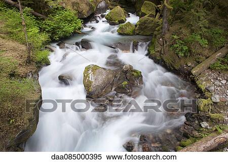Stock Photography - Water flowing over mossy rocks in North Cascades National Park, Washington, USA. Fotosearch