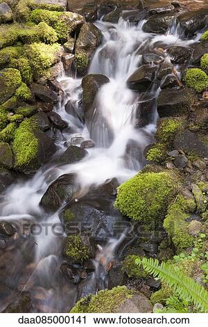 Stock Image - Water flowing over mossy rocks, Olympic National Park, Washington, USA. Fotosearch