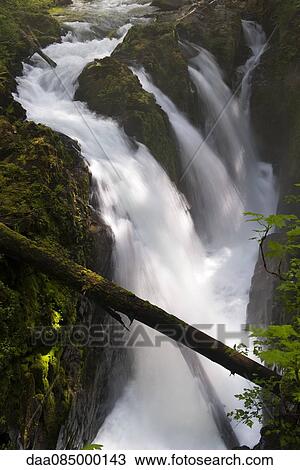 Waterfalls, Olympic National Park, Washington, USA View Large Photo Image Stock Image - Waterfalls, Olympic National Park, Washington, USA. Fotosearch