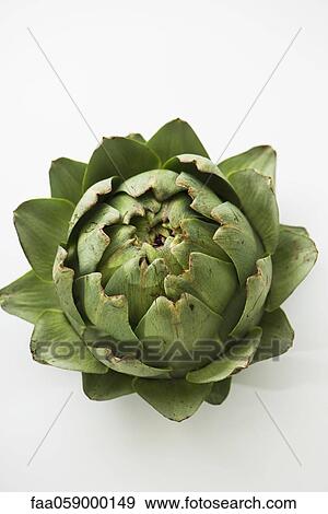 Stock Photo - Artichoke. Fotosearch