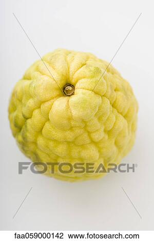 Balady citron View Large Photo Image Stock Image - Balady citron. Fotosearch