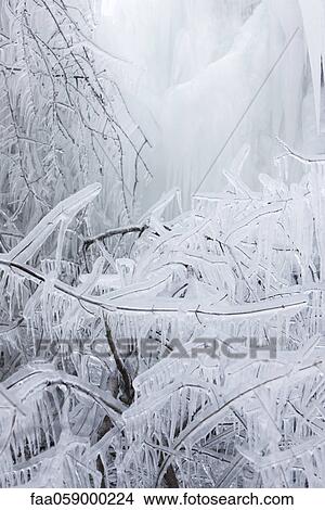 Branches covered in ice View Large Photo Image Picture - Branches covered in ice. Fotosearch
