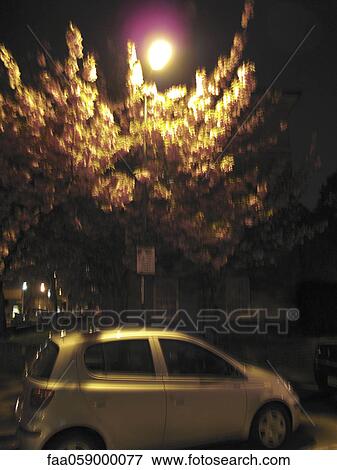 Car parked under street lamp at night View Large Photo Image Stock Photo - Car parked under street lamp at night. Fotosearch
