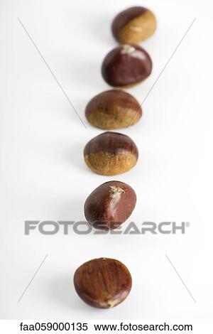 Chestnuts lined up View Large Photo Image Stock Photography - Chestnuts lined up. Fotosearch